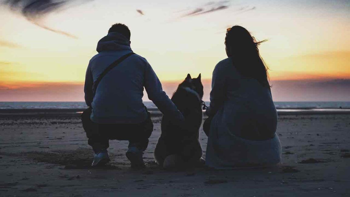 32 images puissantes sur l'amour des animaux — free download