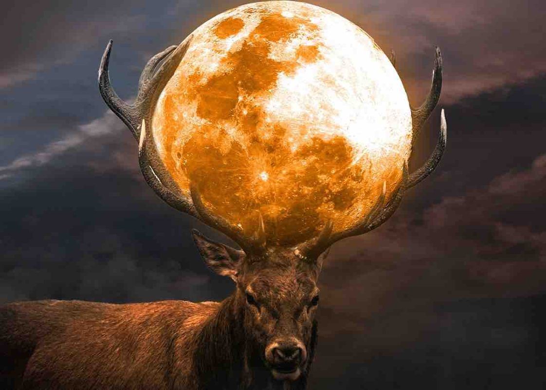 Signification Spirituelle Du Mois De Novembre Découvrez la signification spirituelle de la pleine Lune du Castor de